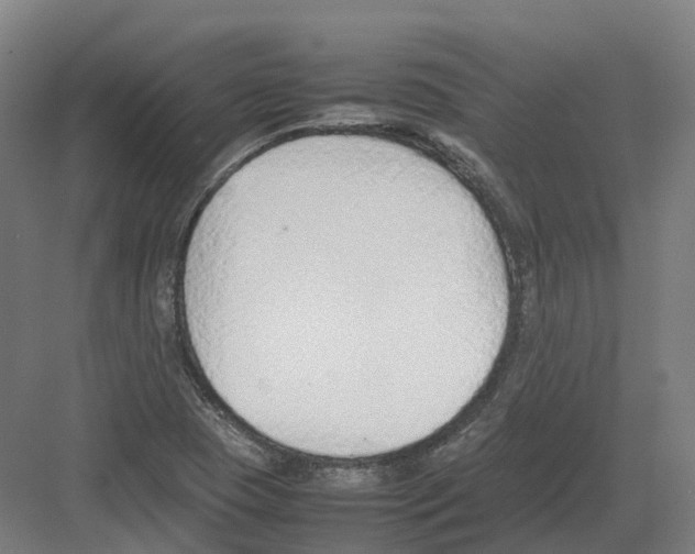 X0000082151409200702162156