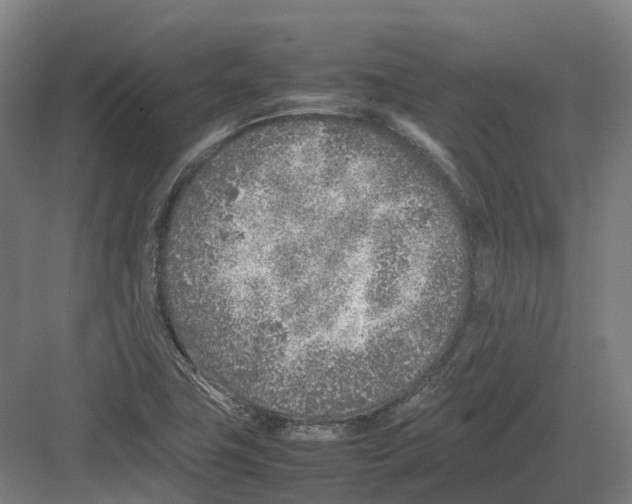 X0000082151411200702162156