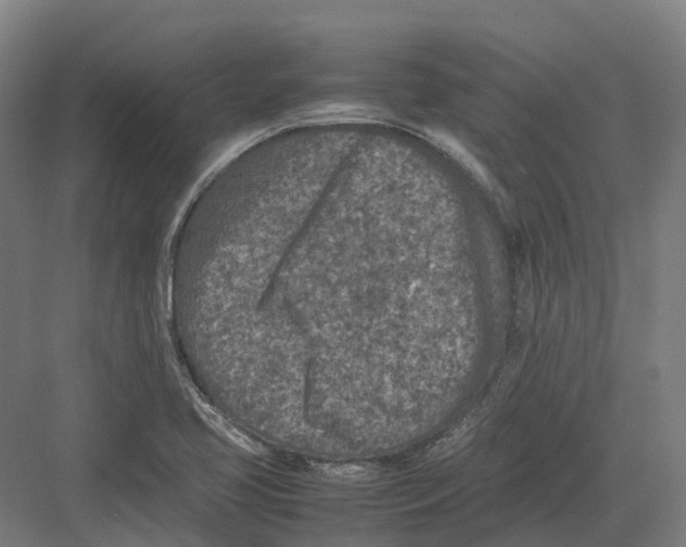 X0000082151413200702162157