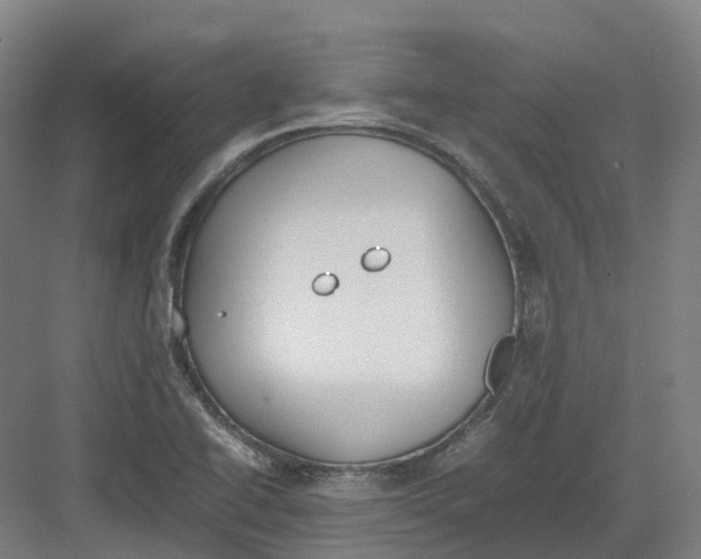 X0000082151414200702162157