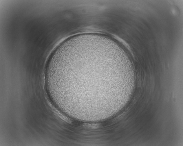 X0000082151415200702162157