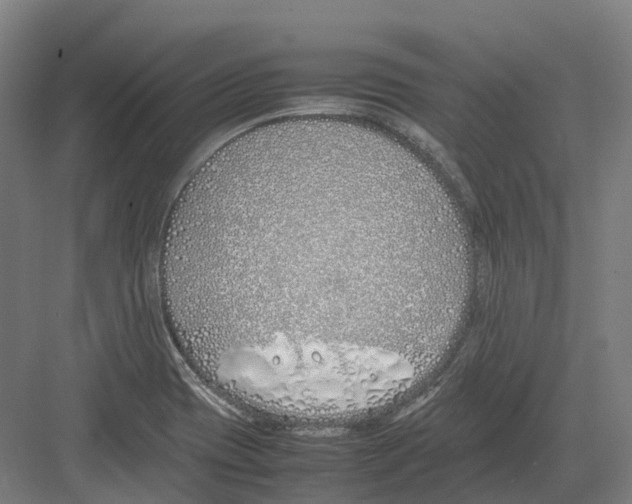 X0000082151417200702162157