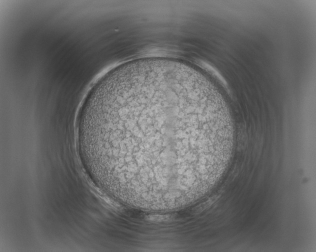 X0000082151419200702162157