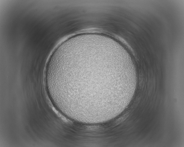 X0000082151421200702162157