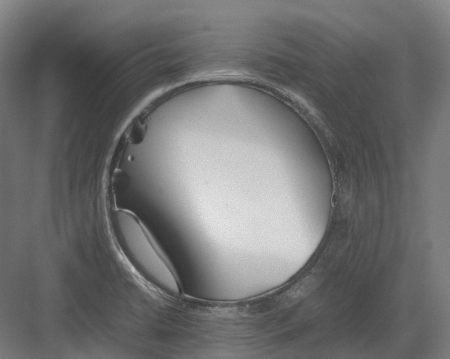 X0000082151422200702162157