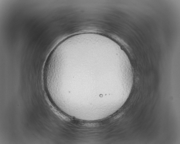 X0000082151423200702162157