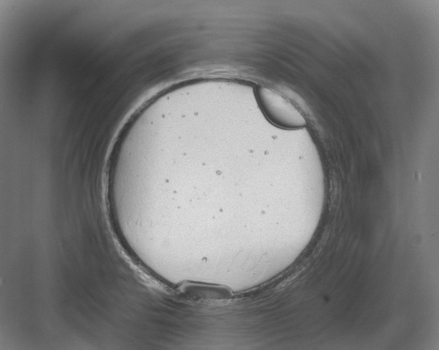 X0000082151424200702162157