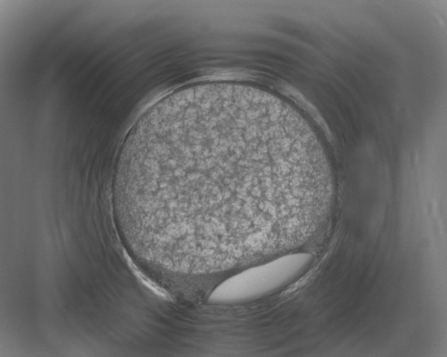 X0000082151425200702162157