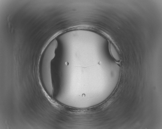 X0000082151426200702162157