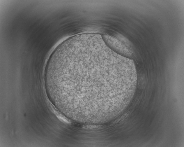 X0000082151427200702162157