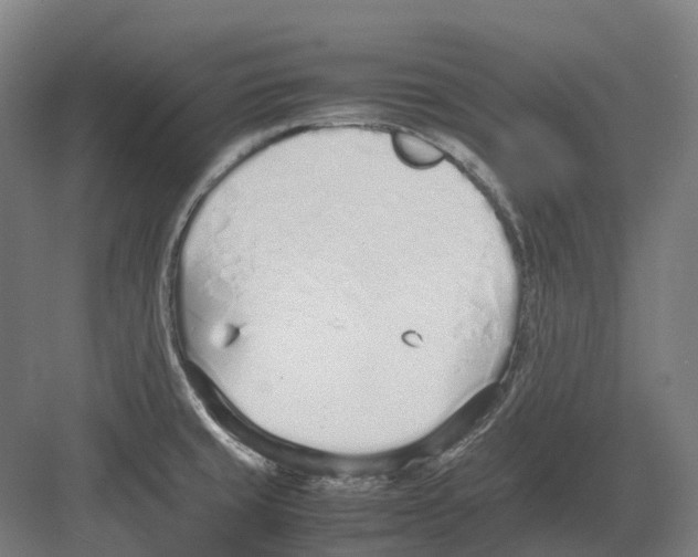 X0000082151429200702162157