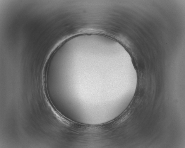 X0000082151430200702162157