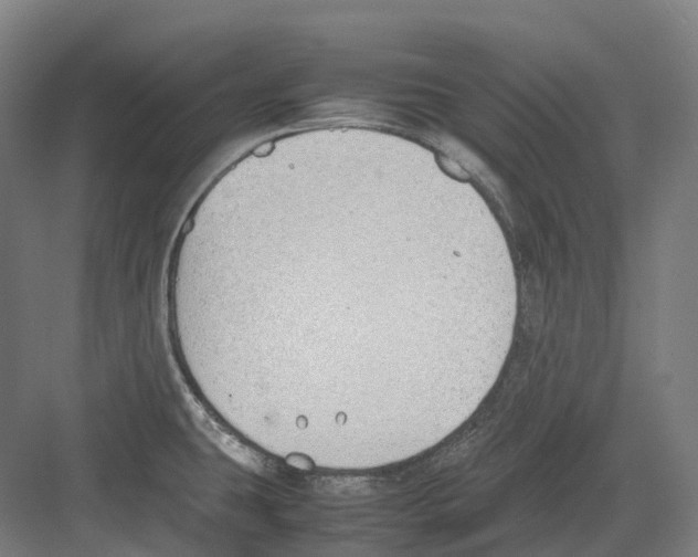 X0000082151431200702162157