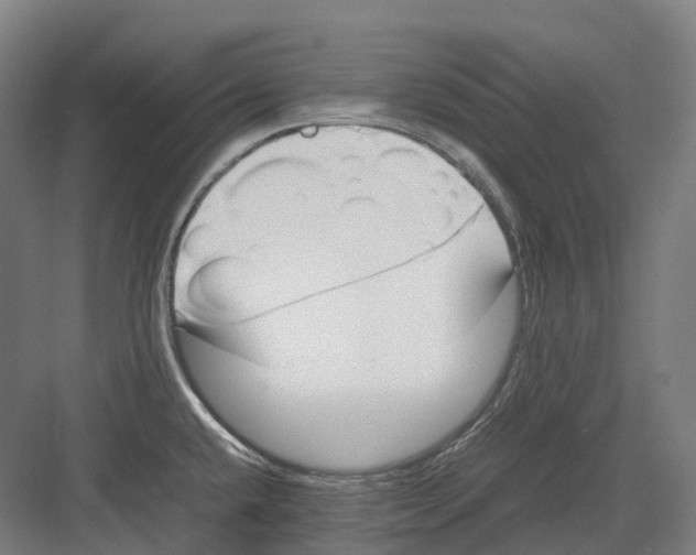 X0000082151432200702162157