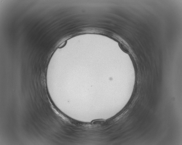 X0000082151433200702162157