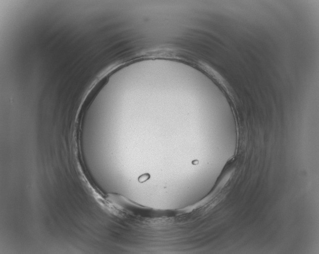 X0000082151434200702162157