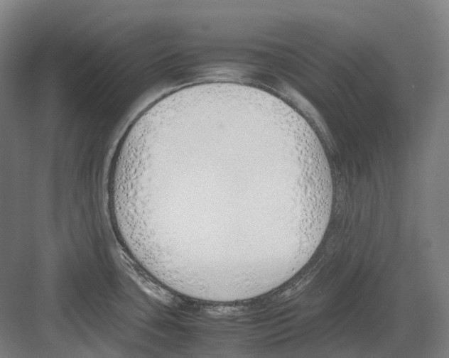 X0000082151435200702162157