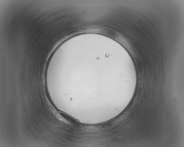 X0000082151436200702162157