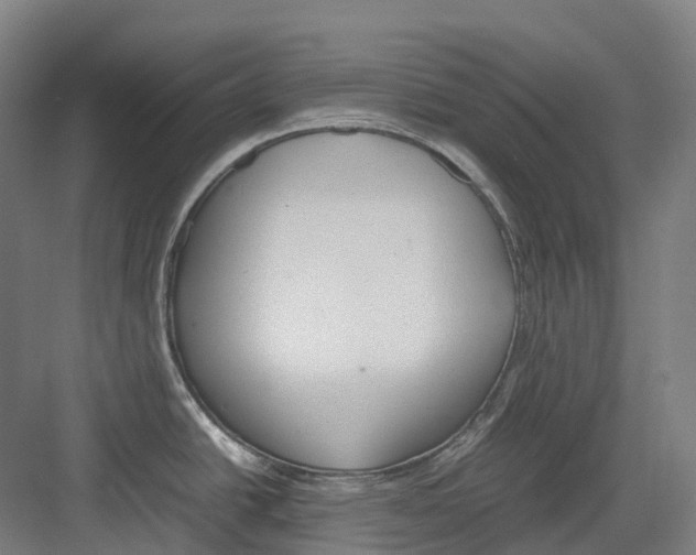 X0000082151438200702162157