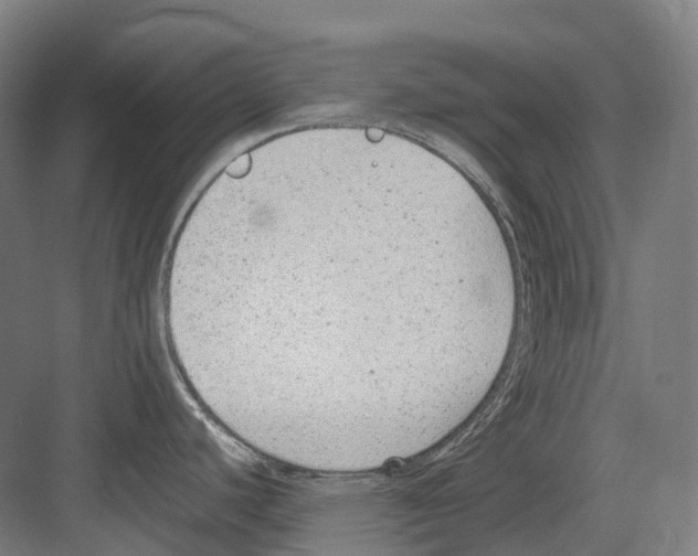 X0000082151440200702162157