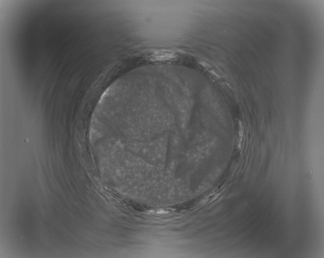 X0000082151441200702162156