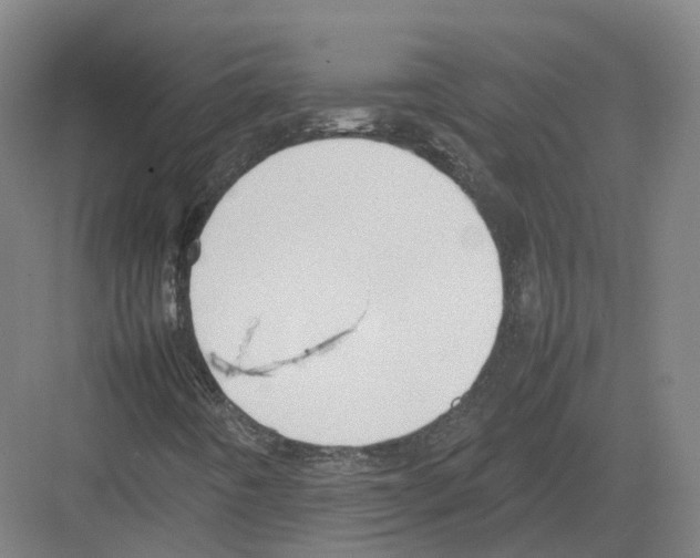 X0000082151442200702162156