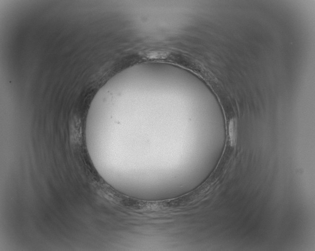 X0000082151443200702162156