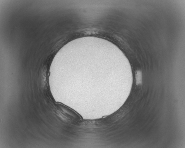 X0000082151444200702162156