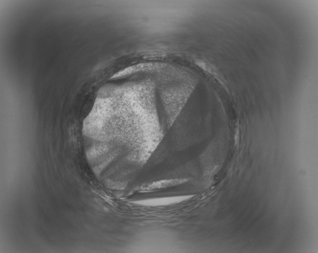 X0000082151445200702162156