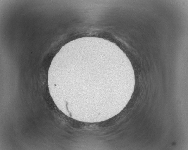 X0000082151447200702162156