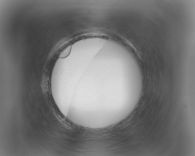 X0000082151448200702162156