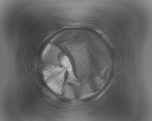 X0000082151449200702162156