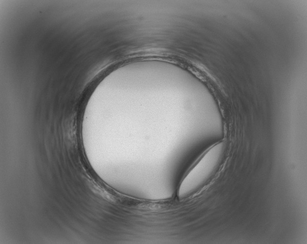 X0000082151450200702162156