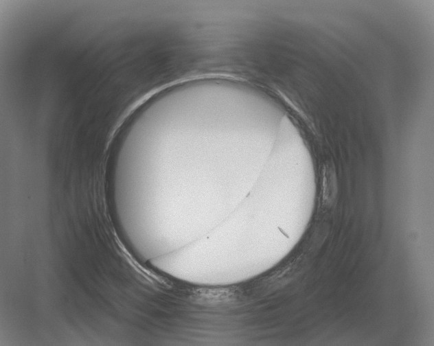 X0000082151452200702162156