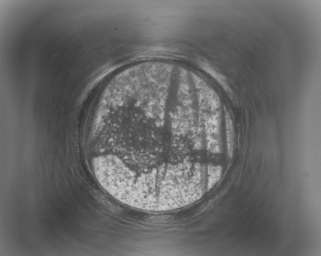 X0000082151453200702162156