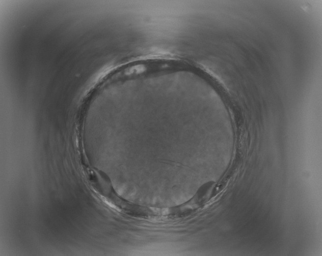 X0000082151455200702162156