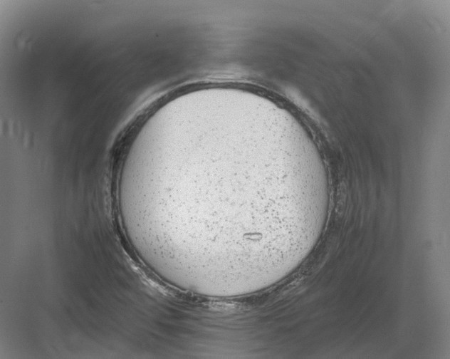 X0000082151456200702162156