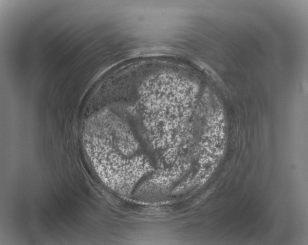 X0000082151457200702162156