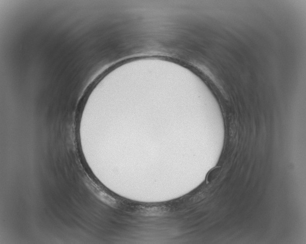 X0000082151460200702162156