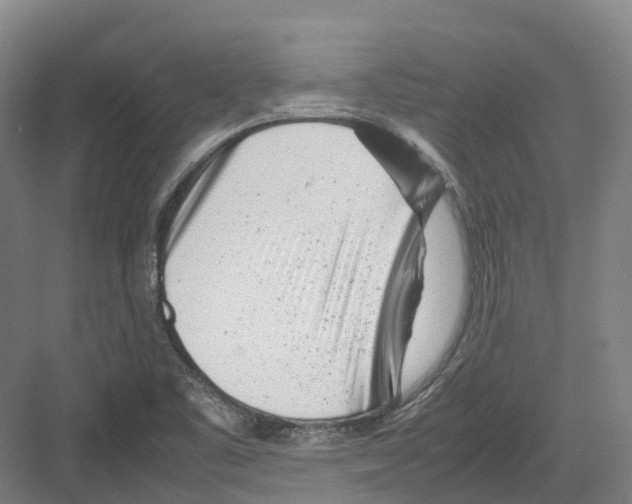 X0000082151461200702162156