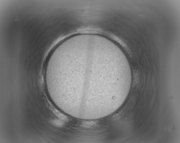 X0000082151462200702162156