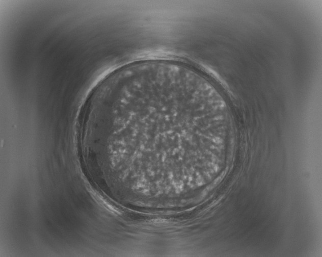 X0000082151463200702162156