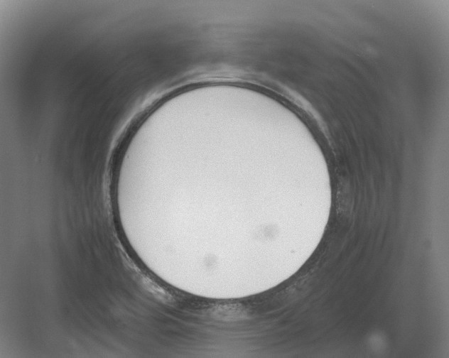 X0000082151464200702162156