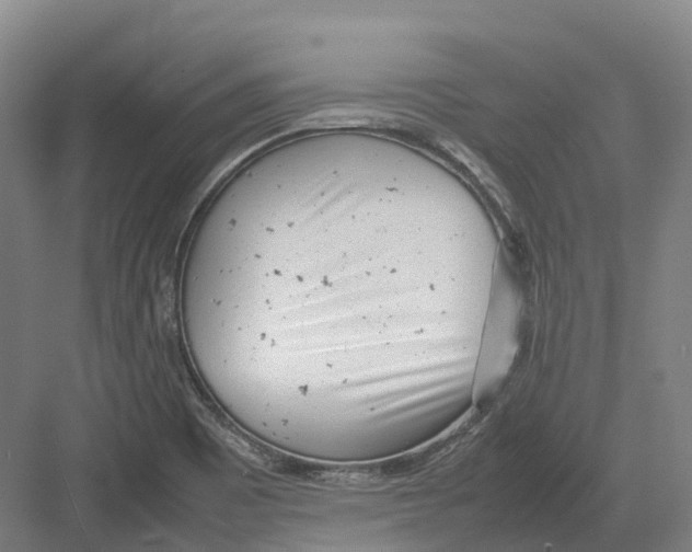 X0000082151465200702162156