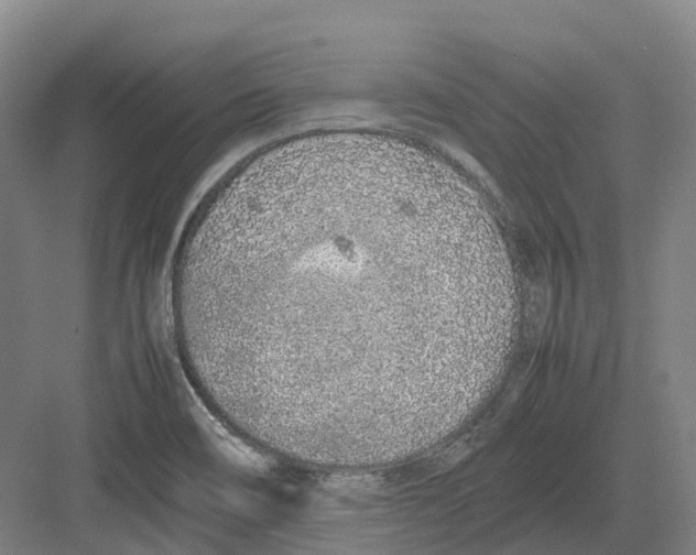 X0000082151466200702162156