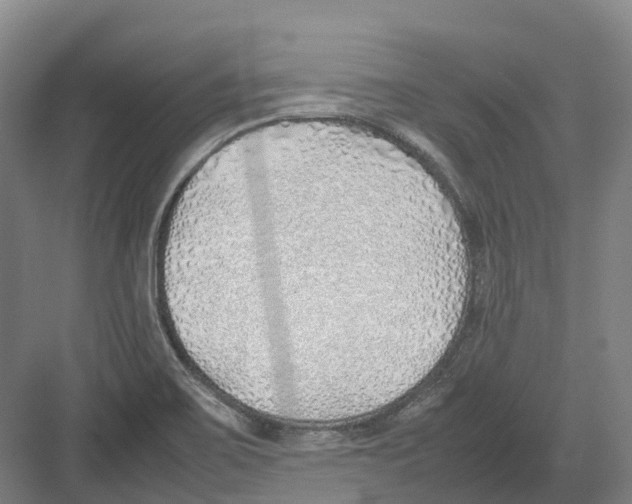 X0000082151467200702162156