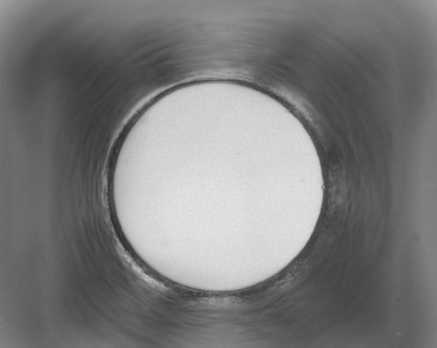 X0000082151468200702162156