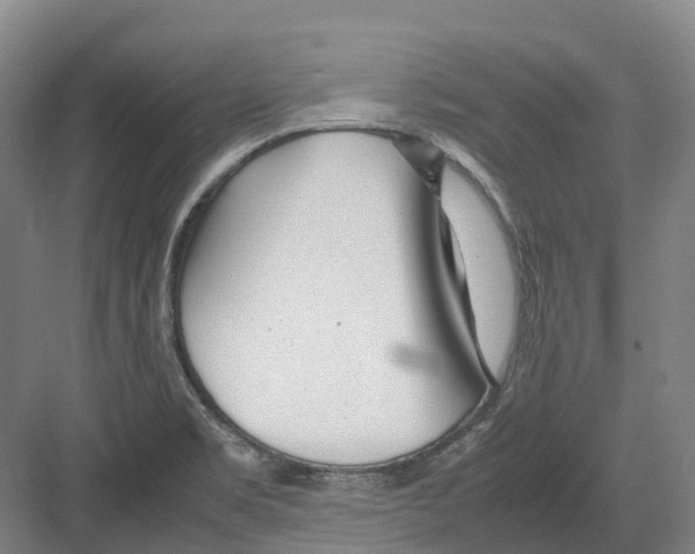 X0000082151469200702162156