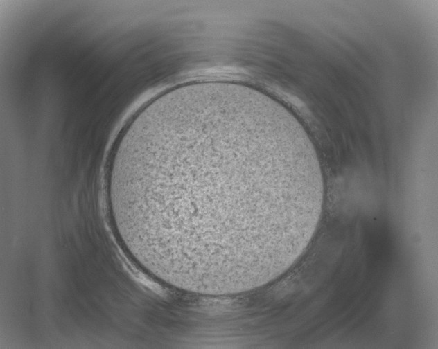 X0000082151470200702162156