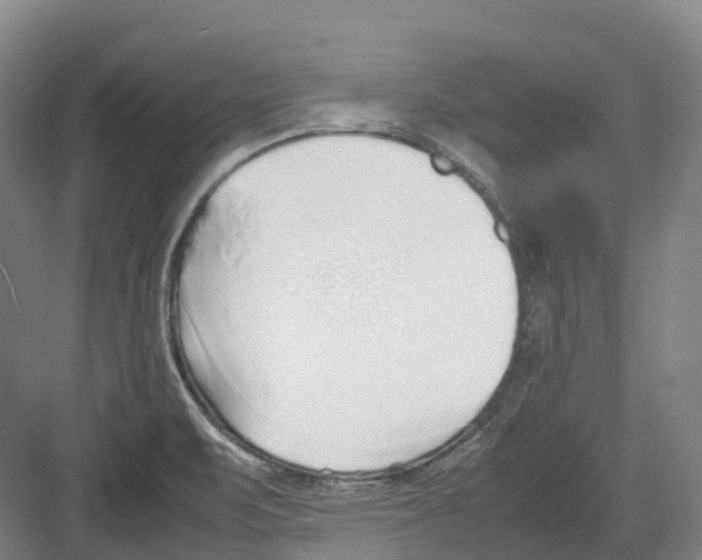 X0000082151471200702162156